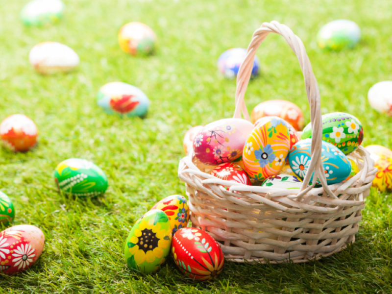 Easter Social and Egg Hunt 2025