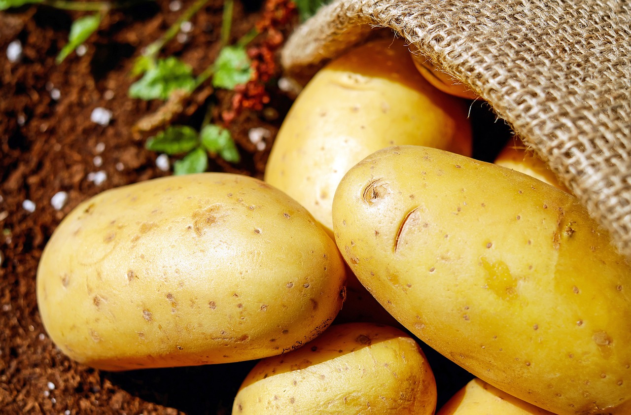 Rents and seed and potato orders
